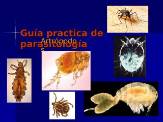 Práctica de parasitologia zArtrópodos 10.pps