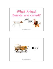 Animal Sounds.pdf