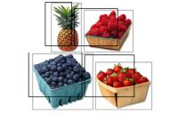 fruit frig magnets.pdf